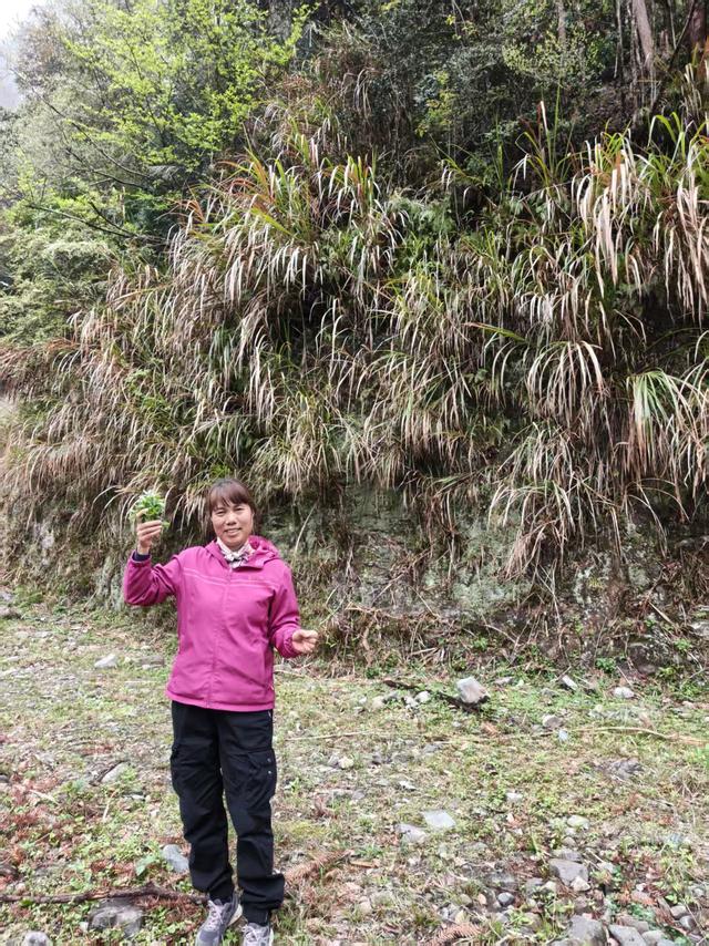仙居县余下坑村，云卷云舒推窗风满帘，望水望山枝头花盈春
