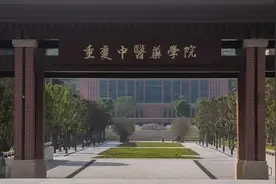重庆中医药学院2025年招生计划出炉：重庆1140人、市外687人图片
