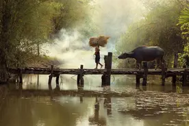 一首《思乡情》，唱响“留深”奋斗者心声图片