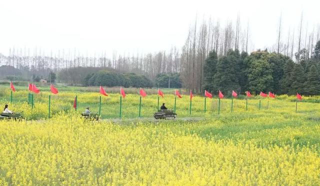 五大点位，廖家镇春日赏花地图来了！