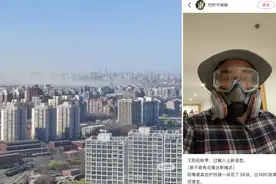 救命！北京圆柏花粉遮天蔽日，能不能把树砍了？图片