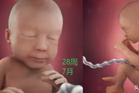 胎儿“七活八不活”的说法有依据吗？不应该月份越大越容易存活吗图片