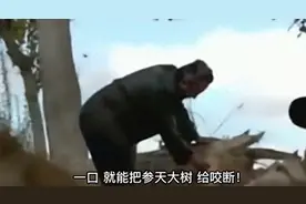 新疆怪物“浑毒左”现世,一口咬断半米大树,专家彻夜蹲守揭开真相图片