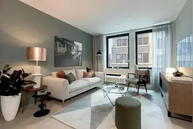 客厅有四摆，财气自然来，客厅适合摆什么植物图片