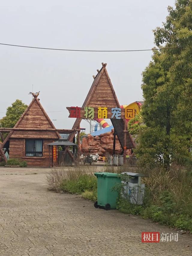 岳阳一处荒废游乐场内藏着一个动物园，门票20元一人，有20多种动物