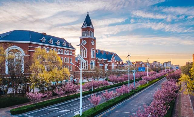 滨海新区生态城“樱花大道”惊艳盛放，美出圈啦~