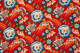 “东北大花”为什么这样“红”？图片