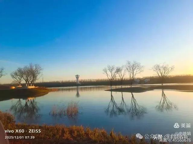 初冬北京朝阳坝河金盏淀：清寒里的静美画卷｜申艳娟