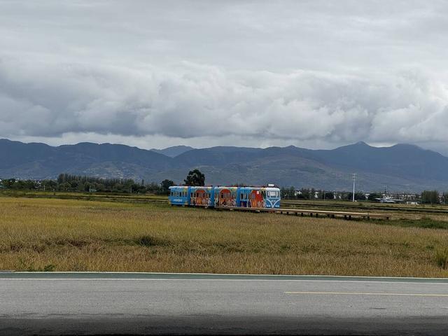 【外眼看云南】柬埔寨顶流姜思倪携家人圆梦云南：喜洲麦田小火车童趣飞扬