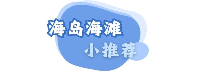 体荟四季｜冲浪、赶海、骑行...江浙沪这些 “动感海岸线”激活你的整个夏天
