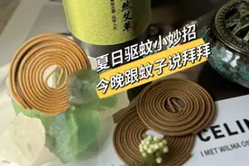 夏天应该怎么防蚊？学老妈这些“防蚊妙招”，不用花钱，太实用了图片