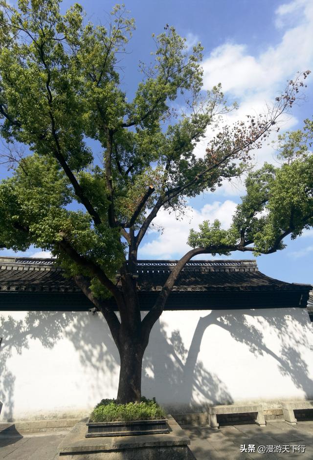 绍兴一日游，浓郁的风土人情让我无法停下脚步