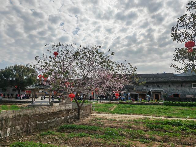 土楼拾光②:福建土楼景区——云水谣片区（2025.2.10 漳州·南靖）
