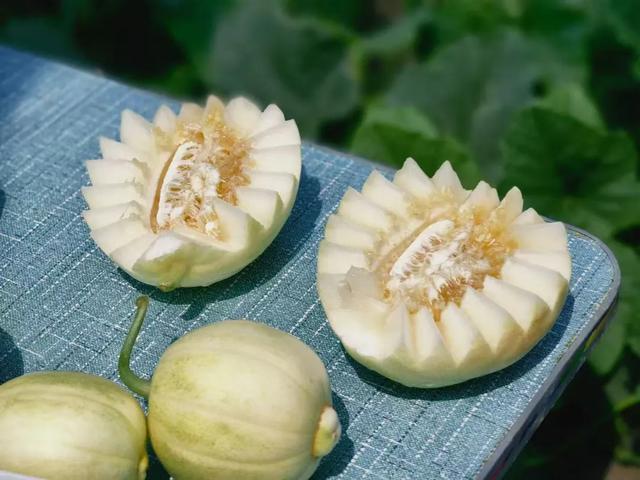 梅里斯藏了处宫崎骏漫画风打卡点!