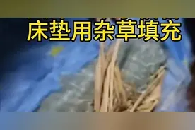 天津一中学宿舍床垫用杂草填充？当地教育局回应图片
