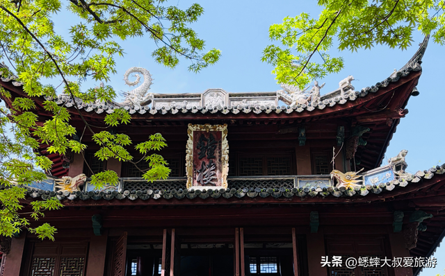 杭州西湖古刹“杜鹃小径”开了，2026春日静谧又好看，快来走走吧