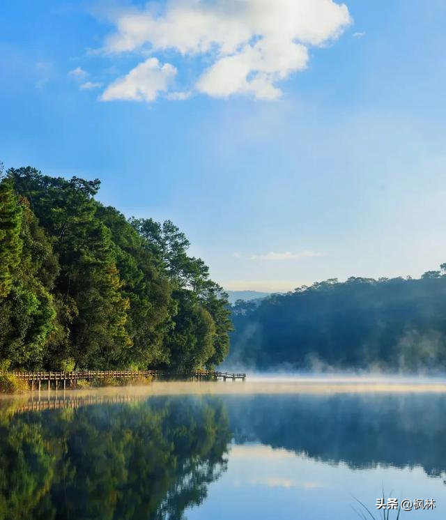 我爸妈旅居云南普洱一年，直呼普洱这三点太舍不得，不想回杭州了