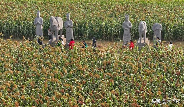 来这里，解锁千年的“限定秋色”！