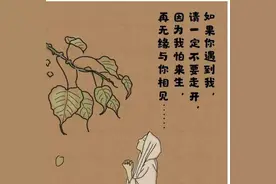 积累福报的花钱方法图片