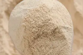 你可能没有想象中那么了解酵母---说说酵母的知识图片