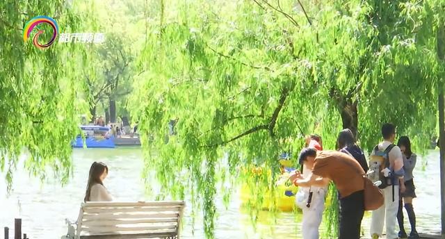 我不信你不心动！蓝花楹、泥石流赛车、华晨宇演唱会→这个五一假期昆明“玩场”太多了！