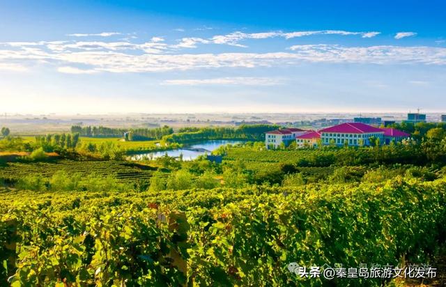 乘坐“星光·燕赵号”全景旅游列车，奔赴秦皇岛山海的浪漫之约！