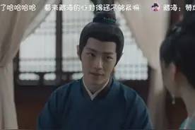 藏海传，要是还搞不懂面具人是谁，为什么帮藏海复仇，那就白看了图片