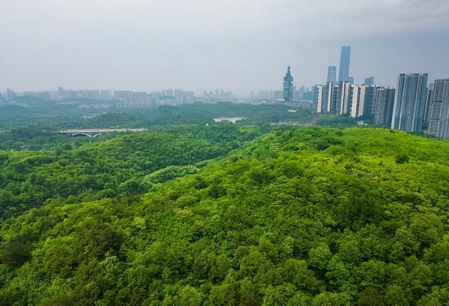 国内绿化最好的10大城市，南宁第3，昆明第6，长春垫底！