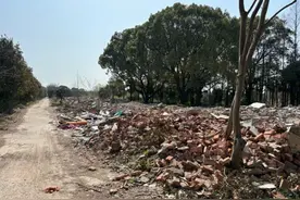 不去会后悔，去了更后悔？沪上“野景点”现场“探废”报告图片