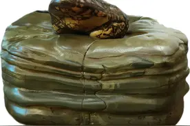 奇石(收藏百科图)图片