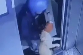 永久拉黑清退！警方已介入图片