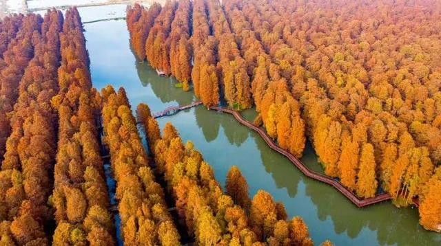 景区、酒店全打折!这座冠军城 “太会了”