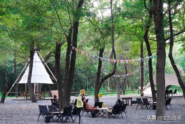 当北纬27°的风穿过枫林,我在渡头村撞见了一场自然的浪漫剧场