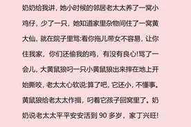 黄鼠狼真的是地仙吗？网友：从动物形态变成了两个人图片