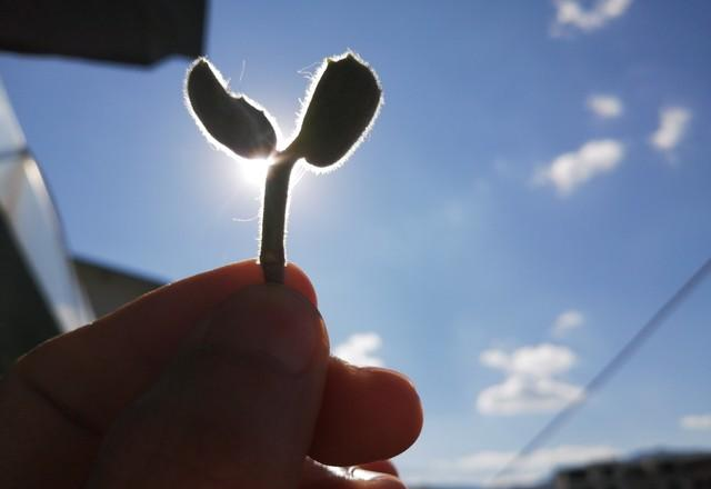 心理学家揭示：容易焦虑的人，大多中了这个“毒习惯”！