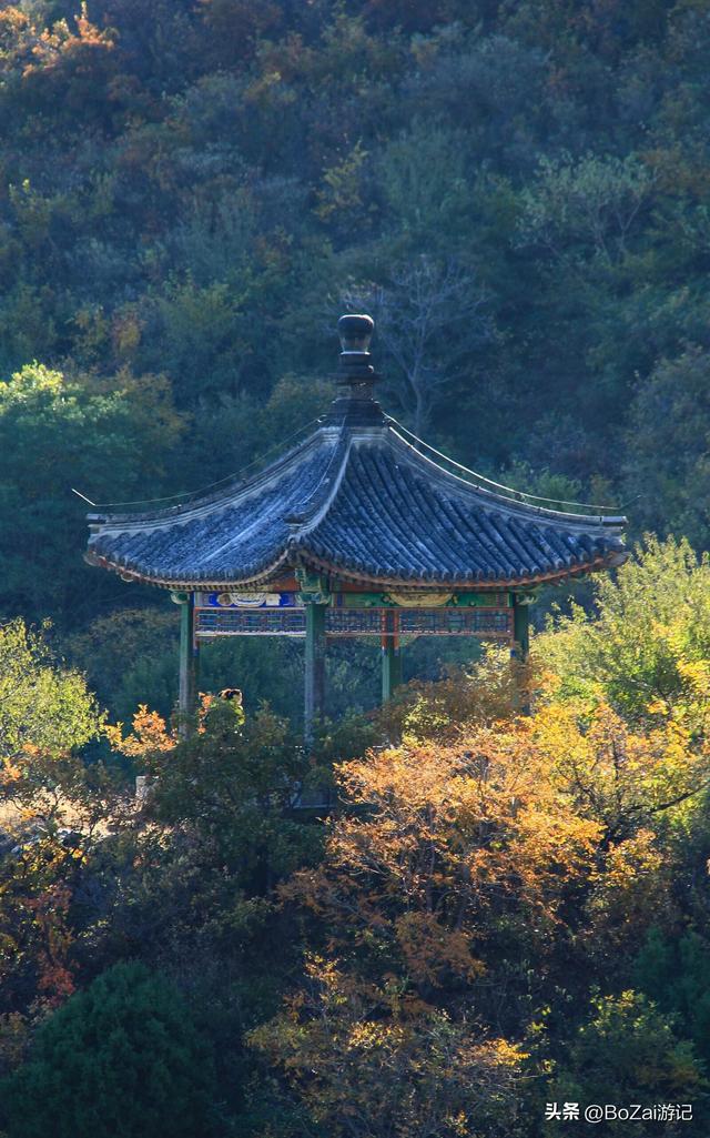 打卡香山寺，800年古松伴殿宇，10元超值！