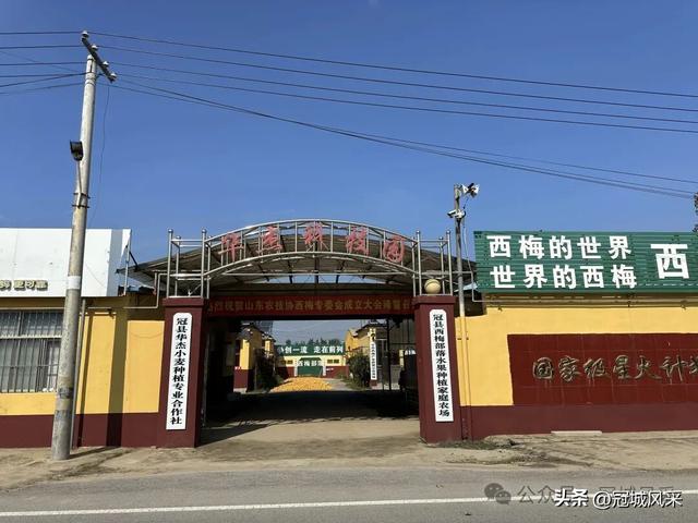 冠县乡韵·兰沃乡大柳邵村