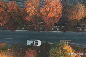 私藏南国90%的秋天！这条不挑车型的休闲自驾线，11月出发正好！图片