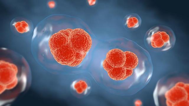 科学家用AI破解生命密码！反推细胞规则，开启编程物质可能性