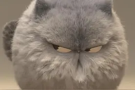 猫咪表情包大合集图片