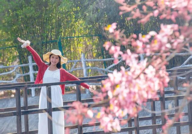 趣春游,赴一场蓝洋踏青的邀约