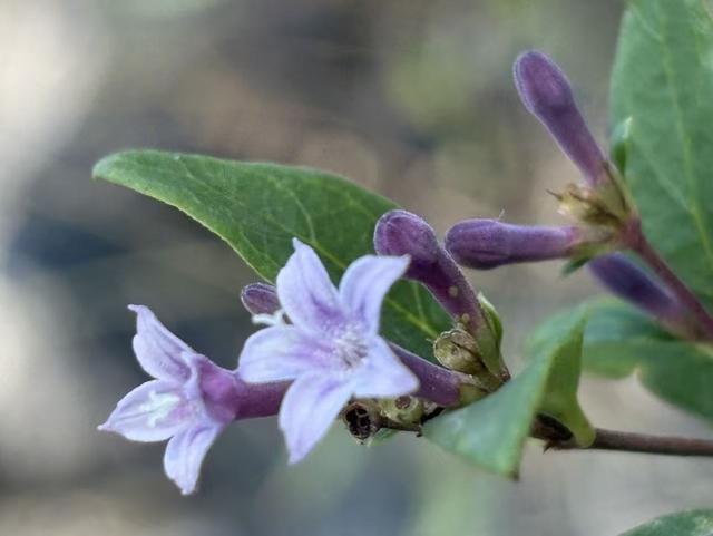 人过五十才明白：有些人，不必原谅