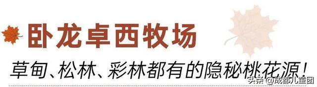 成都不远！这三个地方的红叶，美得很超过！