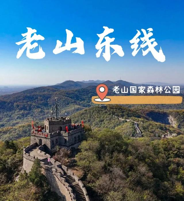 华东超大 “天然氧吧” 免费开放！南京这个森林公园藏不住了