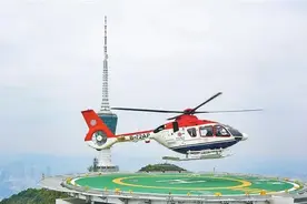 只需99元！深圳人可以打“飞的”去梧桐山赏花了图片