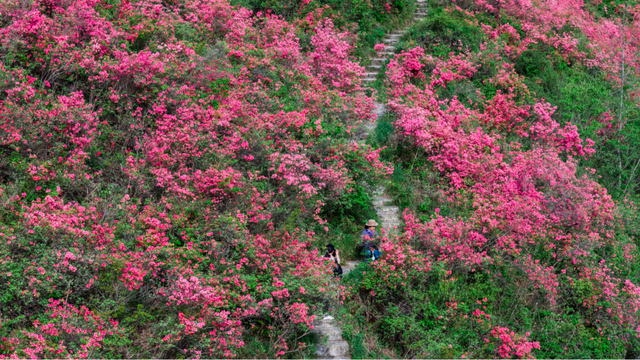 看不完，根本看不完！
