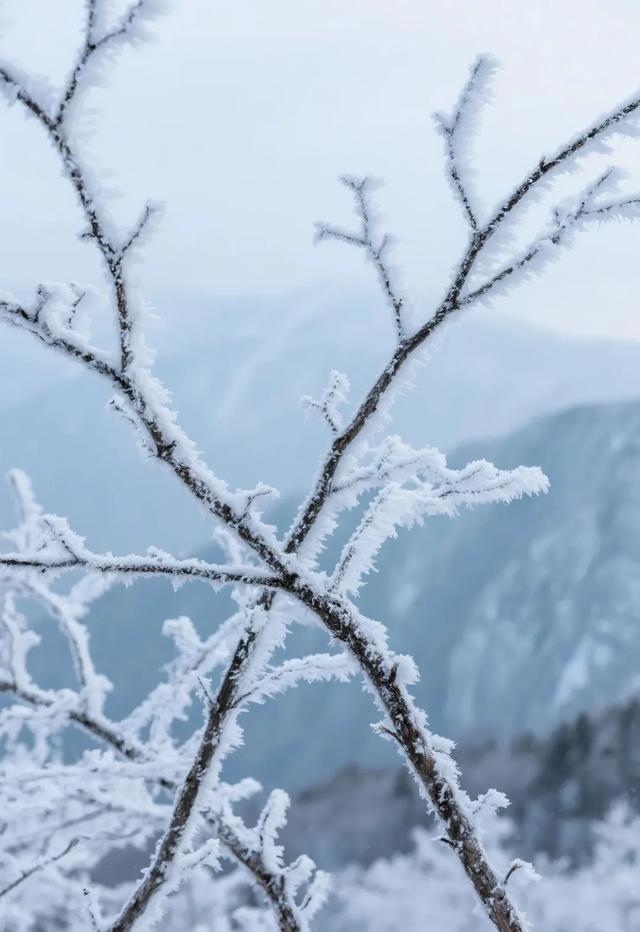 长白山冬日限定:冰封天池、雾凇魔界,一场与天地对话的旅程