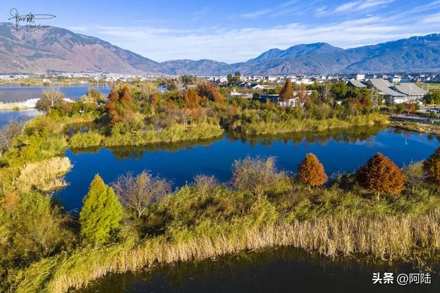 原来大理也有西湖，山水交融风光秀美，可惜门票比5A级景区还贵