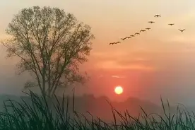 你以为 “打油诗”是劣诗的代名词？这8首打油诗会改变你的看法图片