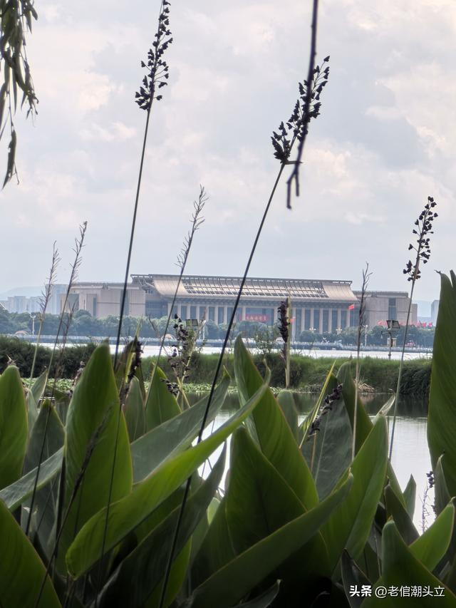 冬天的早上 晒着太阳从大观楼徒步到西山茶马花街 是什么样的感受？